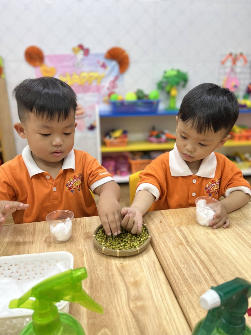 qua trinh phat trien cua cay tu hat   kham pha khoa hoc