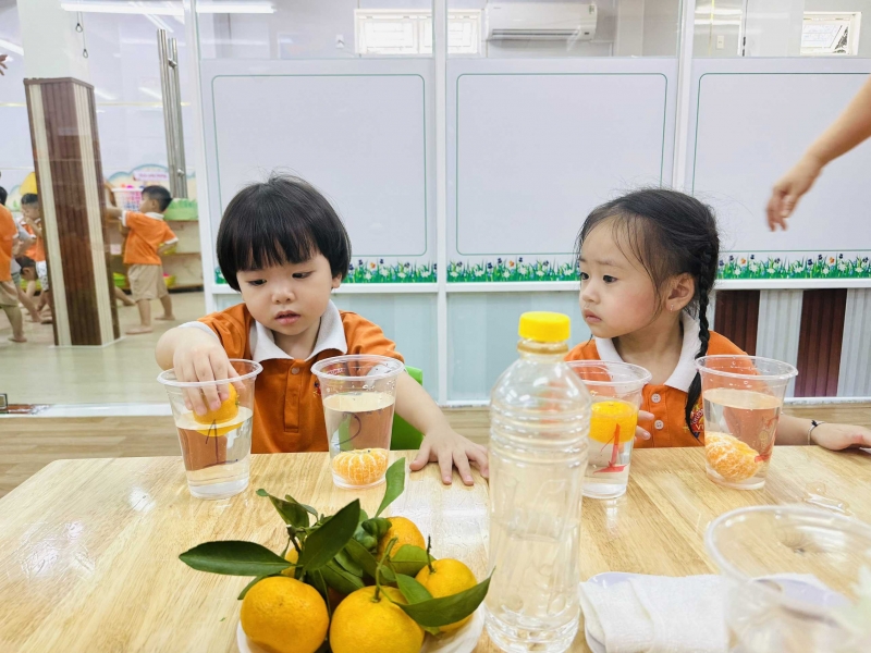 kham pha khoa hoc   vat chim noi   mam 2