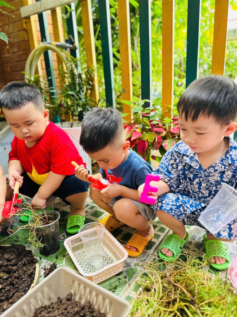 ho   t      ng tr   ng c  y   m   m 2